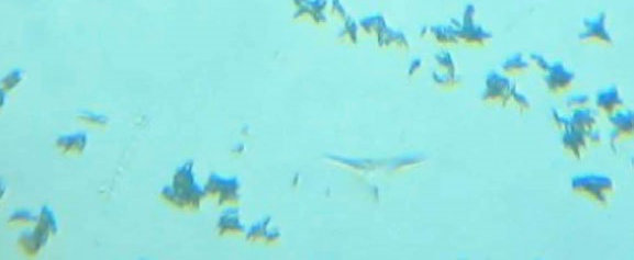 Darkhan Urguu Residence water softener high hardness