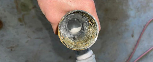 Dairy Cattle Stable Nuevo Leon hard water water softener after