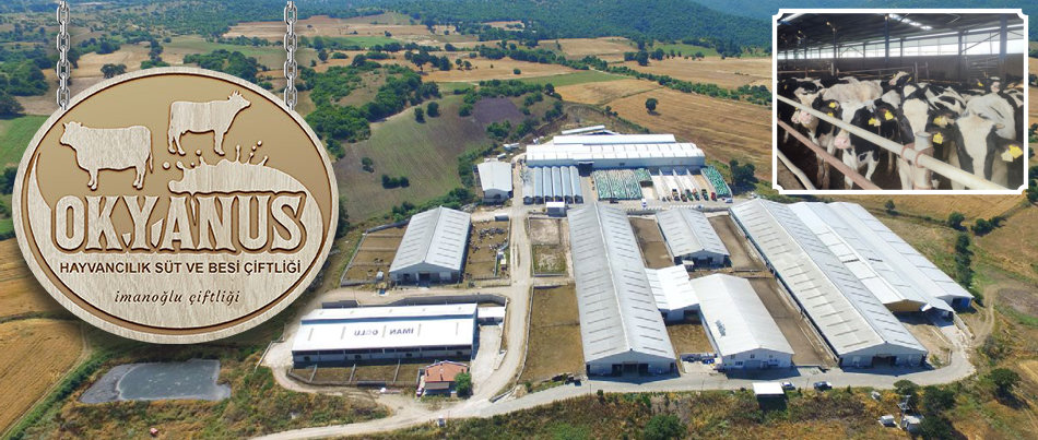 OKYANUS Cattle Farm