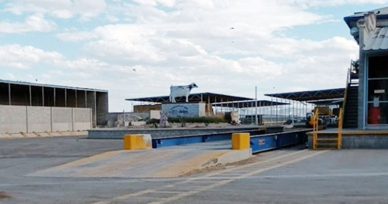 Rancho Dulce Maria Dairy Farm Mexico