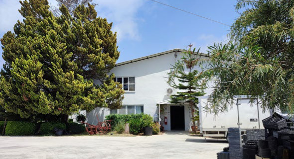 Ritmo Ornamental Plants Turkey