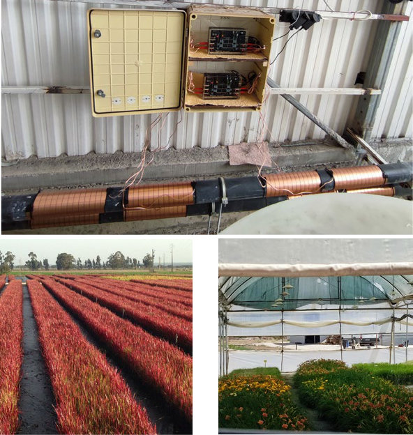 Ritmo Ornamental Plants hard water descaler softener