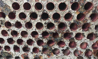 Baoding Factory results after 7 months with Vulcan